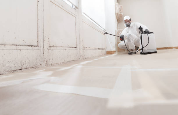 Post-remediation clearance in Forest Lake